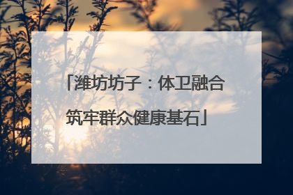 潍坊坊子：体卫融合筑牢群众健康基石