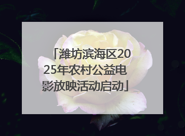 潍坊滨海区2025年农村公益电影放映活动启动