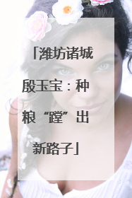 潍坊诸城殷玉宝：种粮“蹚”出新路子