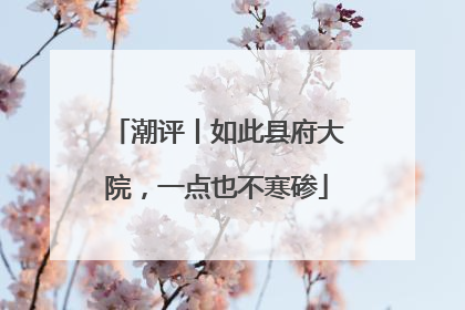 潮评丨如此县府大院，一点也不寒碜