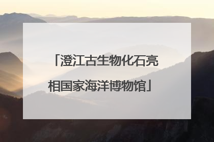 澄江古生物化石亮相国家海洋博物馆