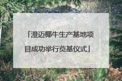 澄迈椰牛生产基地项目成功举行奠基仪式
