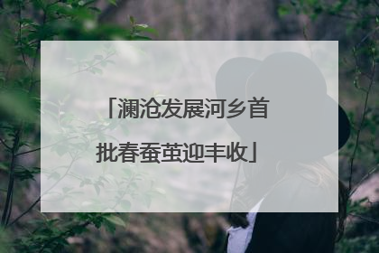澜沧发展河乡首批春蚕茧迎丰收