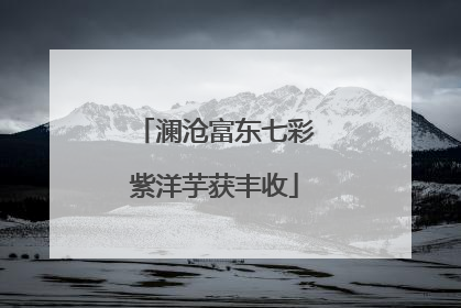澜沧富东七彩紫洋芋获丰收