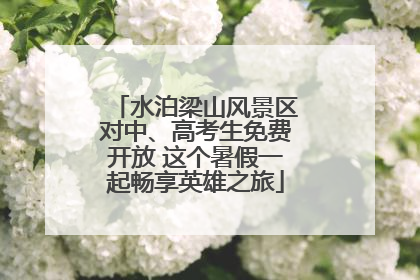 水泊梁山风景区对中、高考生免费开放 这个暑假一起畅享英雄之旅
