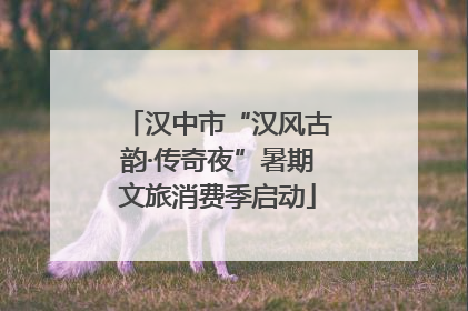 汉中市“汉风古韵·传奇夜”暑期文旅消费季启动