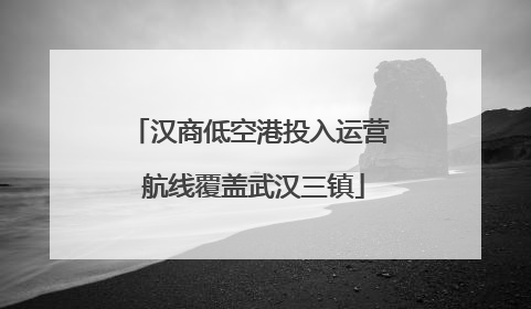 汉商低空港投入运营 航线覆盖武汉三镇