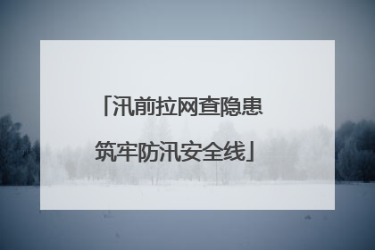 汛前拉网查隐患 筑牢防汛安全线