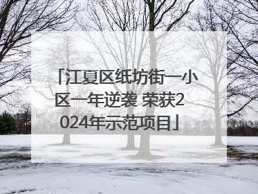 江夏区纸坊街一小区一年逆袭 荣获2024年示范项目