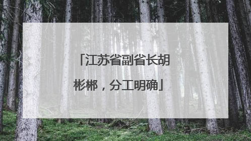 江苏省副省长胡彬郴，分工明确