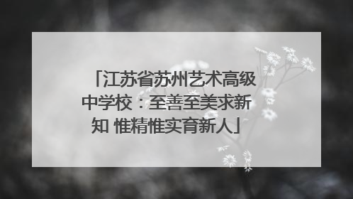江苏省苏州艺术高级中学校：至善至美求新知 惟精惟实育新人