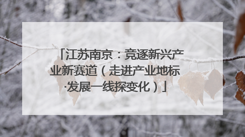 江苏南京：竞逐新兴产业新赛道（走进产业地标·发展一线探变化）