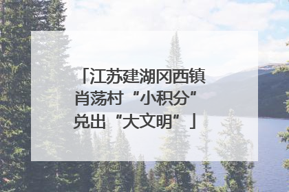 江苏建湖冈西镇肖荡村“小积分”兑出“大文明”