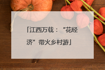 江西万载：“花经济”带火乡村游