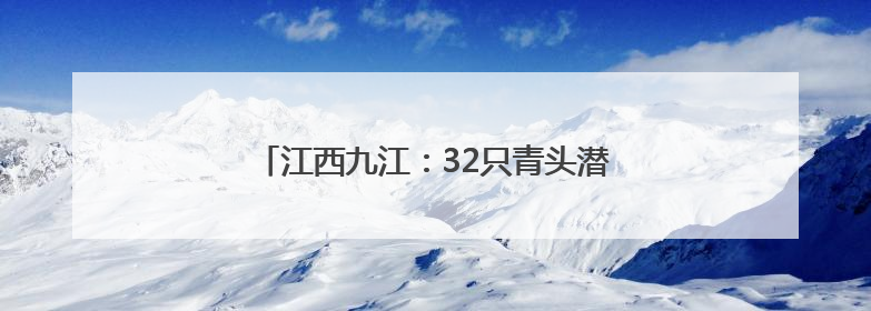 江西九江：32只青头潜鸭宝宝出巢 数量创新高