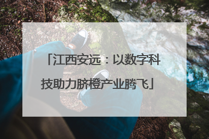 江西安远：以数字科技助力脐橙产业腾飞