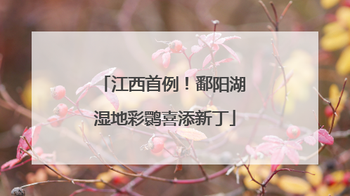 江西首例！鄱阳湖湿地彩鹮喜添新丁