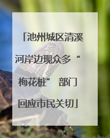 池州城区清溪河岸边现众多“梅花桩” 部门回应市民关切
