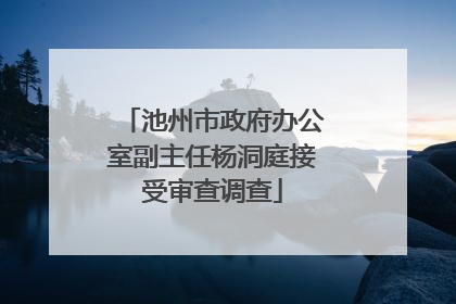 池州市政府办公室副主任杨洞庭接受审查调查