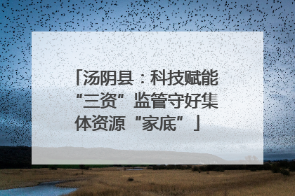 汤阴县：科技赋能“三资”监管守好集体资源“家底”