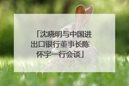 沈晓明与中国进出口银行董事长陈怀宇一行会谈