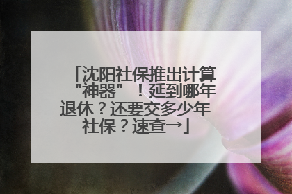 沈阳社保推出计算“神器”！延到哪年退休？还要交多少年社保？速查→