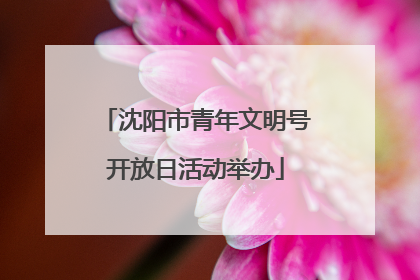 沈阳市青年文明号开放日活动举办