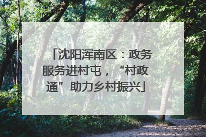 沈阳浑南区：政务服务进村屯，“村政通”助力乡村振兴