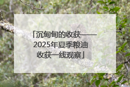 沉甸甸的收获——2025年夏季粮油收获一线观察