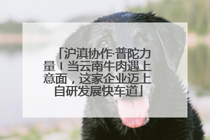 沪滇协作·普陀力量〡当云南牛肉遇上意面，这家企业迈上自研发展快车道