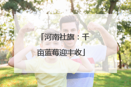 河南社旗：千亩蓝莓迎丰收