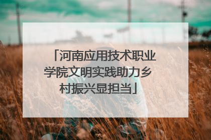 河南应用技术职业学院文明实践助力乡村振兴显担当
