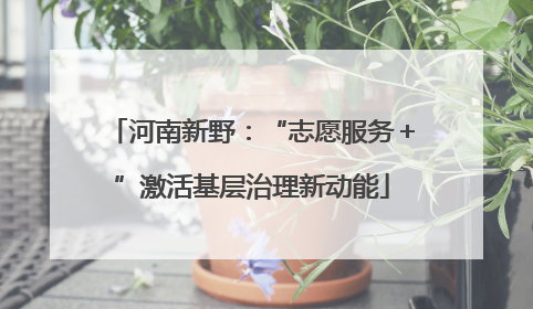 河南新野：“志愿服务＋”激活基层治理新动能