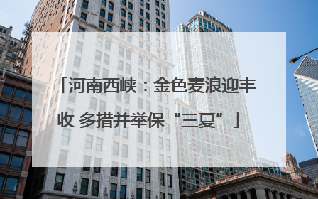 河南西峡：金色麦浪迎丰收 多措并举保“三夏”