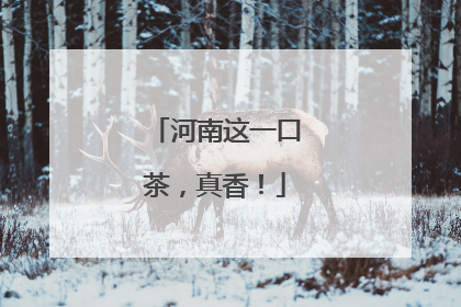 河南这一口茶，真香！