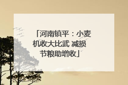 河南镇平：小麦机收大比武 减损节粮助增收