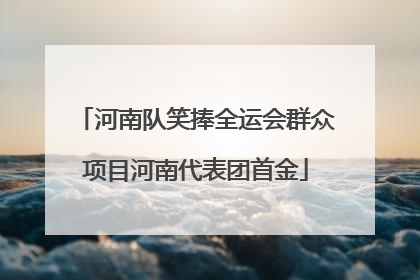 河南队笑捧全运会群众项目河南代表团首金