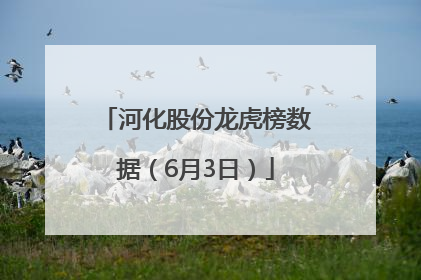 河化股份龙虎榜数据（6月3日）
