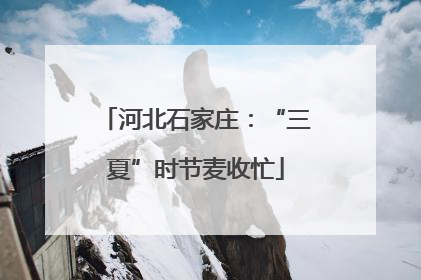 河北石家庄：“三夏”时节麦收忙