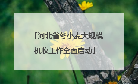 河北省冬小麦大规模机收工作全面启动