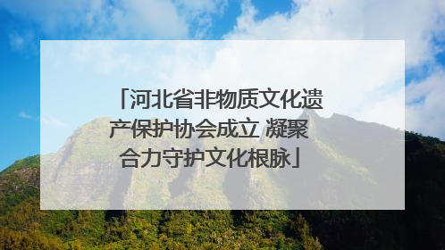 河北省非物质文化遗产保护协会成立 凝聚合力守护文化根脉
