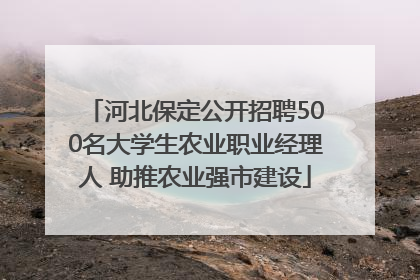 河北保定公开招聘500名大学生农业职业经理人 助推农业强市建设