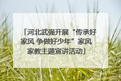 河北武强开展“传承好家风 争做好少年”家风家教主题宣讲活动