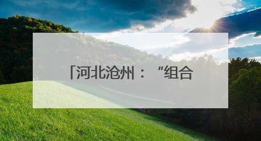 河北沧州：“组合拳”精准发力 助力企业创新突破