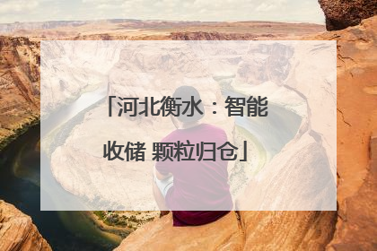 河北衡水：智能收储 颗粒归仓