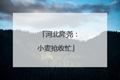 河北隆尧：小麦抢收忙