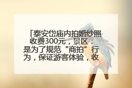 泰安岱庙内拍婚纱照收费300元，景区：是为了规范“商拍”行为，保证游客体验，收取费用全部上交国库