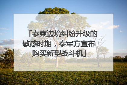 泰柬边境纠纷升级的敏感时期，泰军方宣布购买新型战斗机