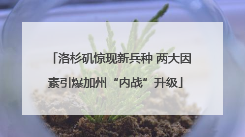 洛杉矶惊现新兵种 两大因素引爆加州“内战”升级
