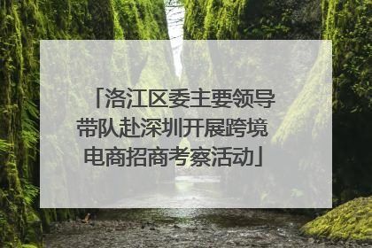 洛江区委主要领导带队赴深圳开展跨境电商招商考察活动